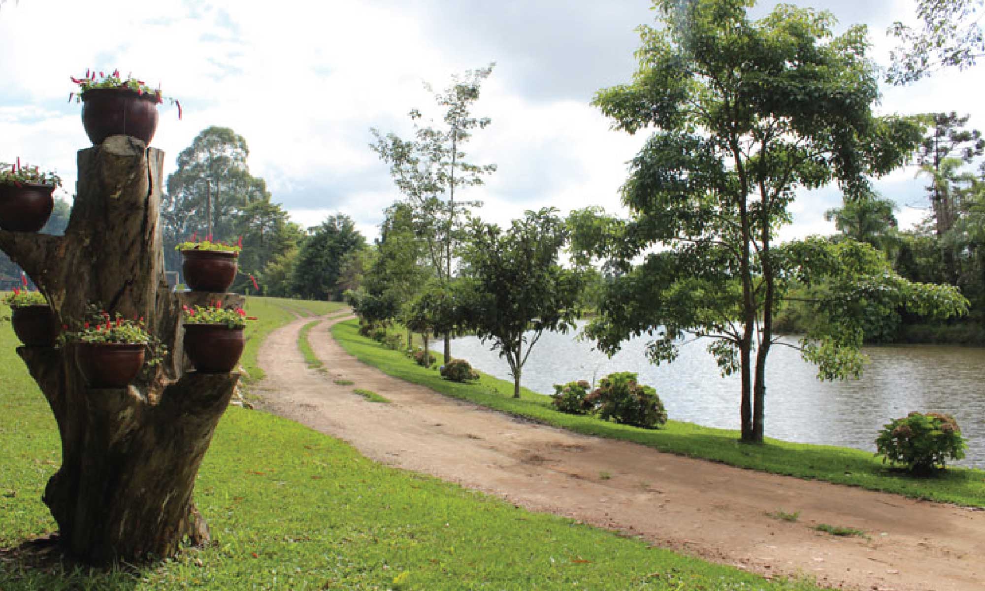 caminho-do-vinho-2019-03